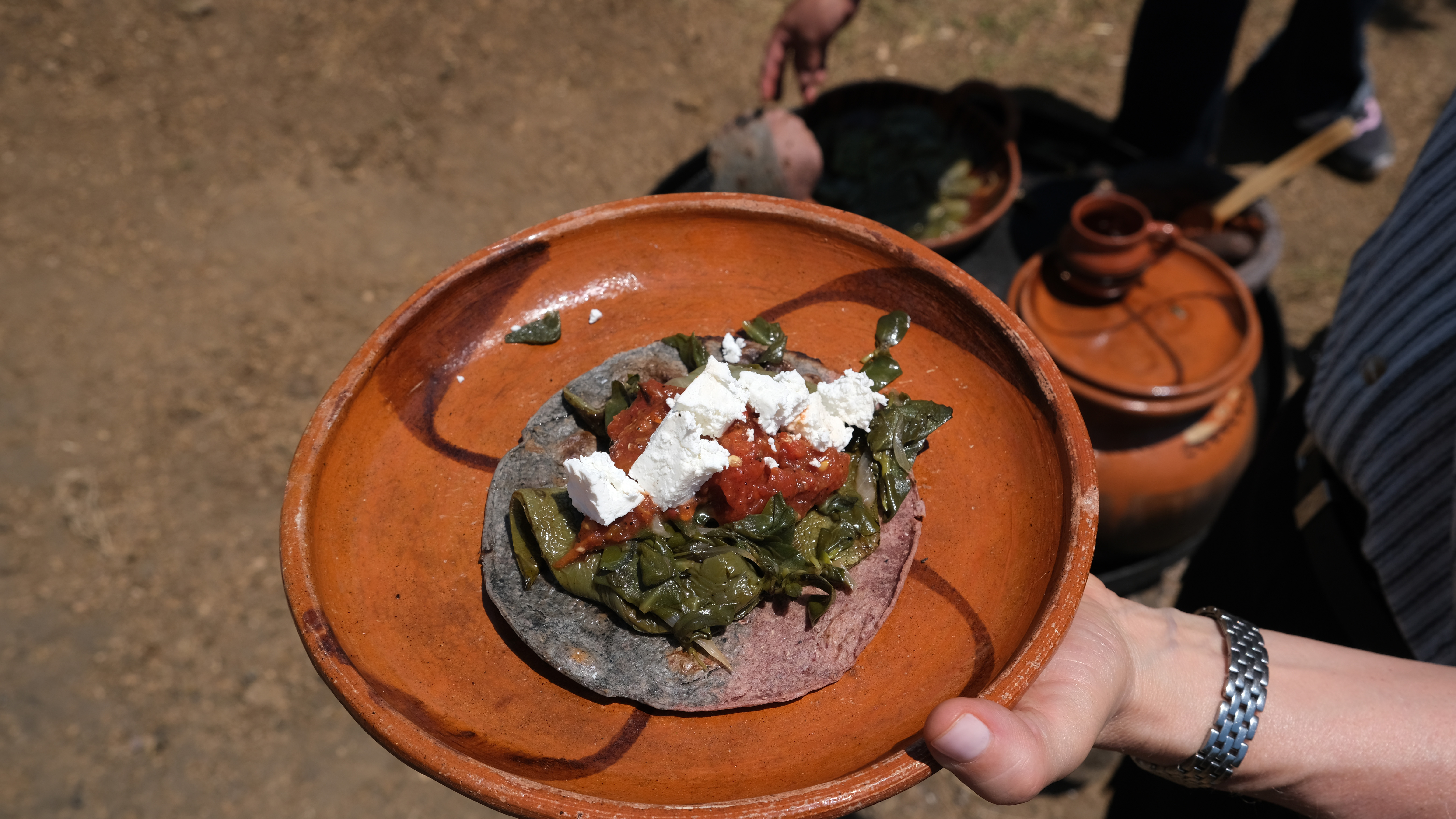 Check for Pati's Mexican Table Season 14 airing on a public television station near you!